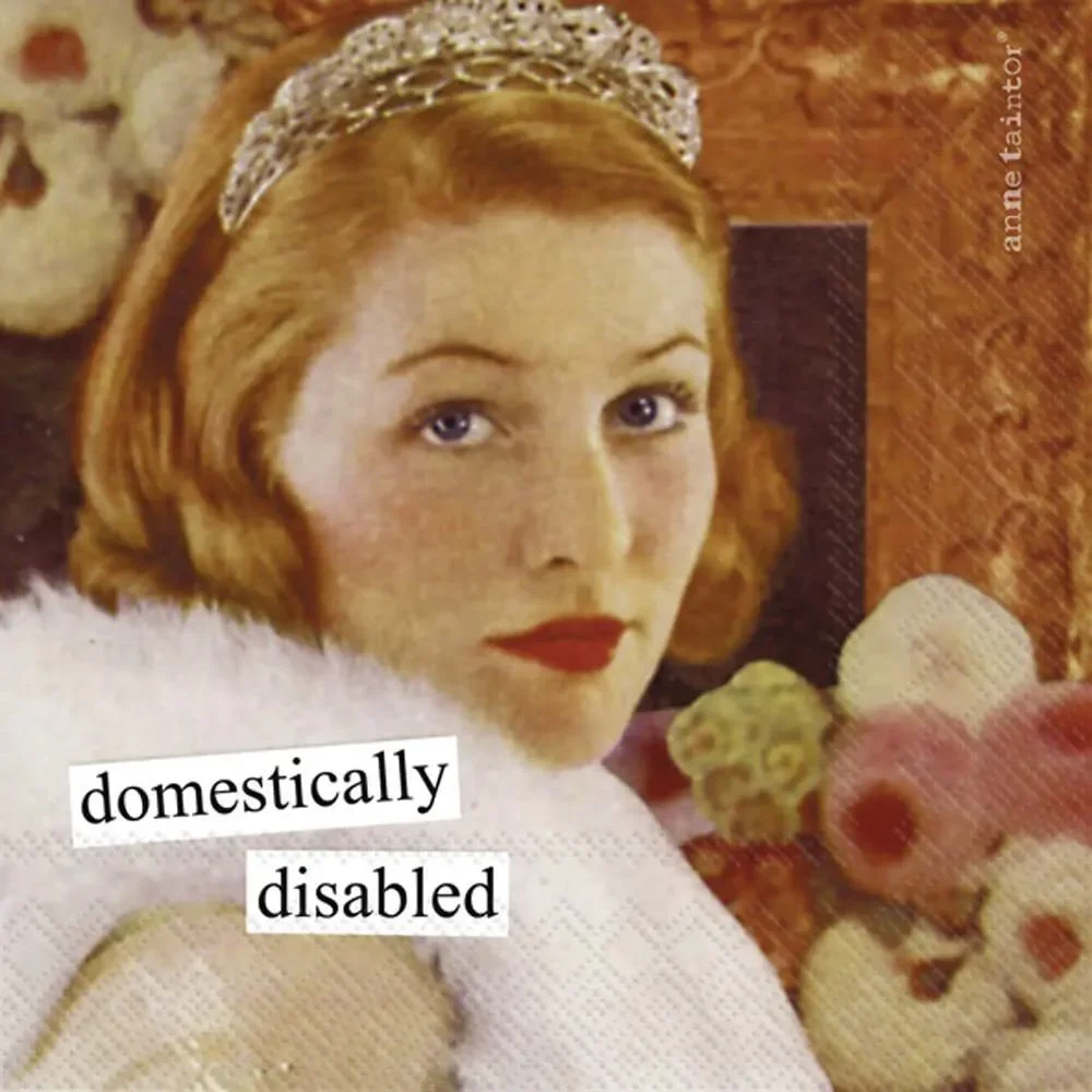 Quirky Retro Cocktail Napkin Set - Domestically Disabled Fun Hostess Gift for